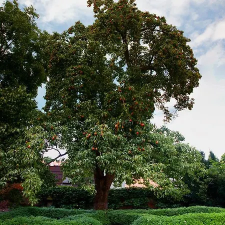 Apartma Star By Jary Habitación en casa particular