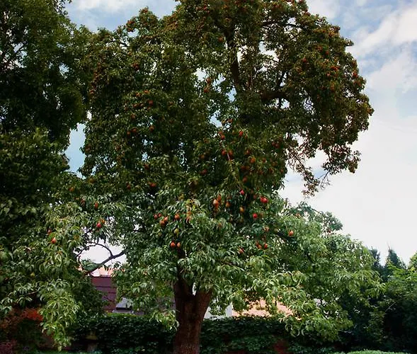 Apartma Star By Jary Quarto em Acomodações Particulares